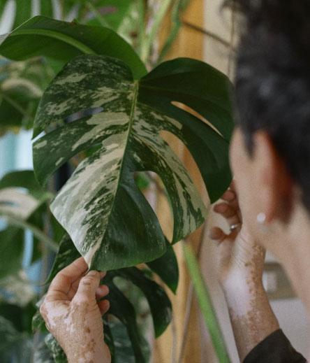 Transformar resignaciones en esperanza